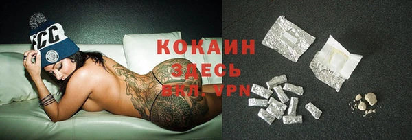 дживик Богданович