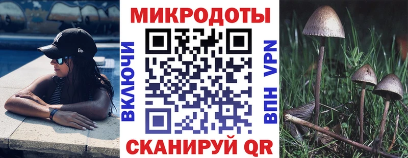 Галлюциногенные грибы Cubensis  сколько стоит  Брянск 